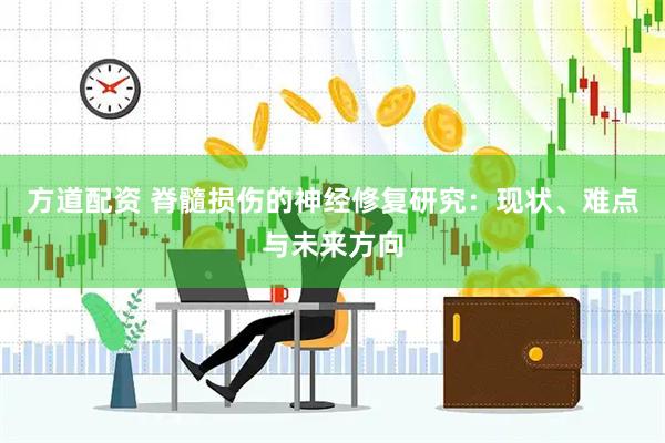 方道配资 脊髓损伤的神经修复研究：现状、难点与未来方向