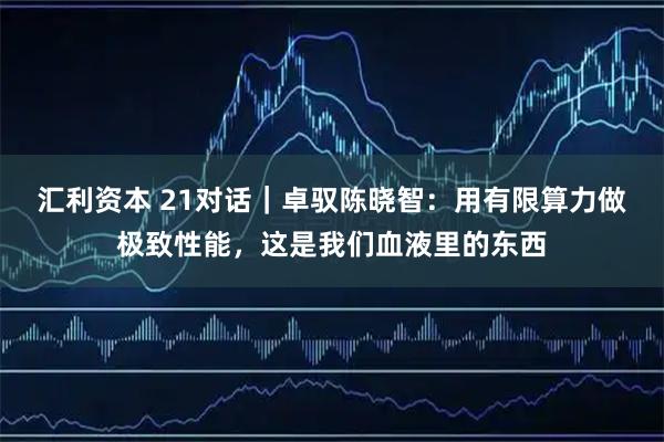 汇利资本 21对话｜卓驭陈晓智：用有限算力做极致性能，这是我们血液里的东西