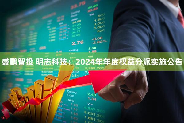 盛鹏智投 明志科技：2024年年度权益分派实施公告