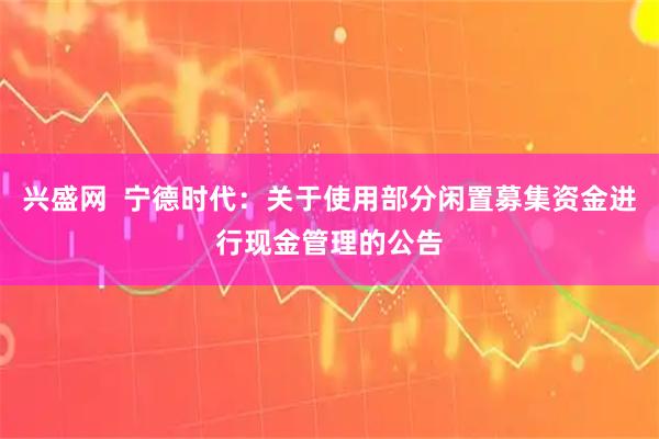 兴盛网  宁德时代：关于使用部分闲置募集资金进行现金管理的公告