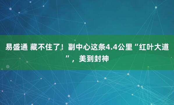 易盛通 藏不住了!副中心这条4.4公里“红叶大道”,美到封神
