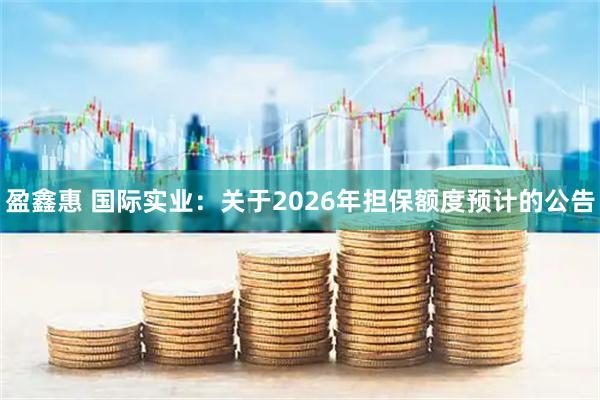 盈鑫惠 国际实业：关于2026年担保额度预计的公告